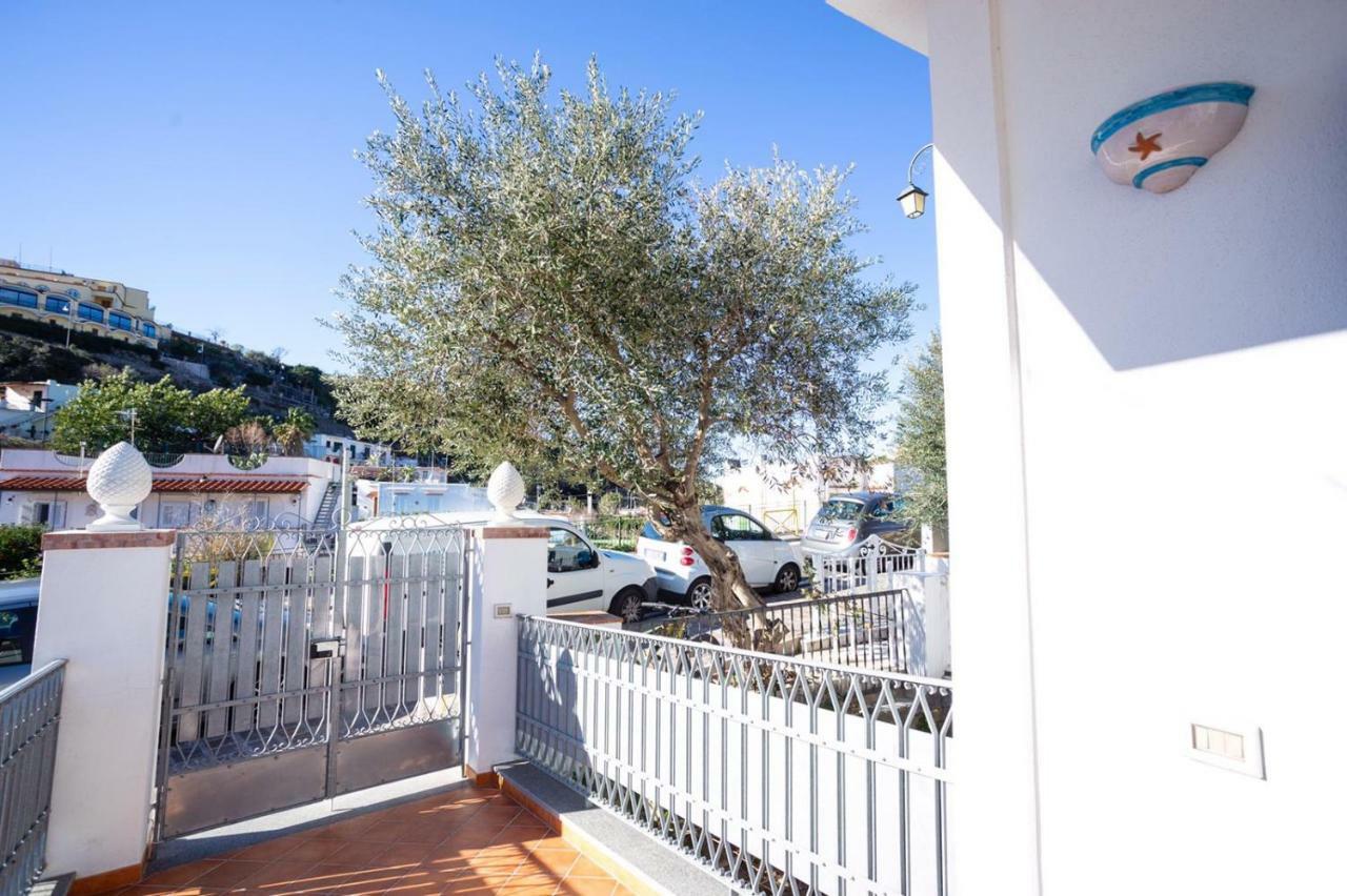 Casa Restituta Apartamento Lacco Ameno  Exterior foto